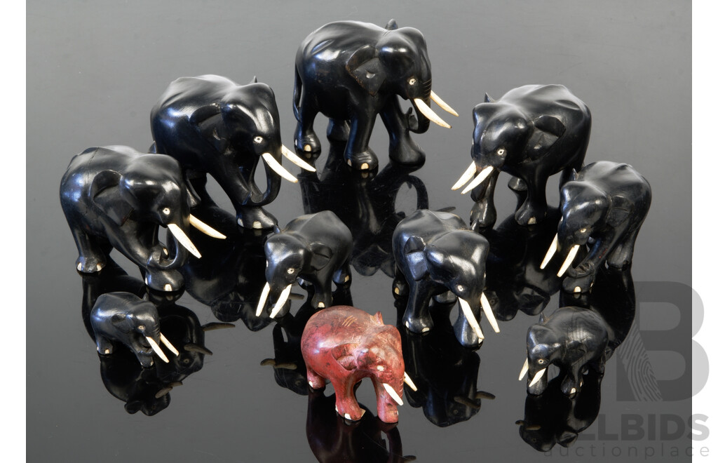 Collection Ten Hand Carved Ebony Elephant Figures with Ivory Tusks