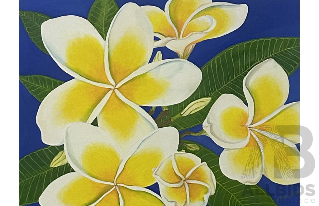 Ed Hacker, (20th Century), Frangipani, Oil on Canvas Board, 45 x 61.5 cm