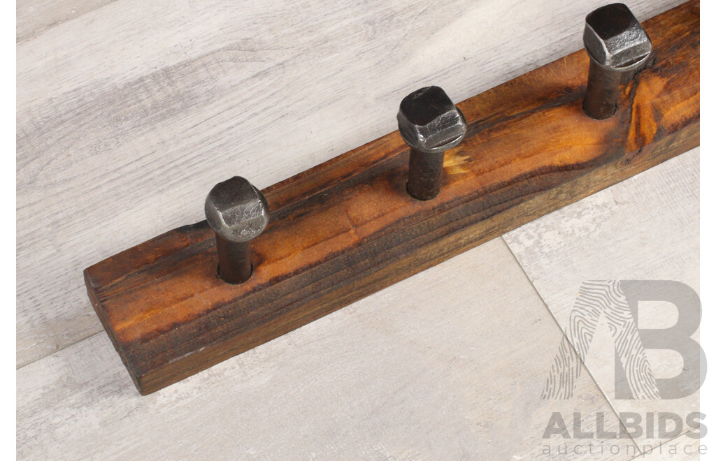 Rustic Wall Mount Coat Hook with Railway Pins
