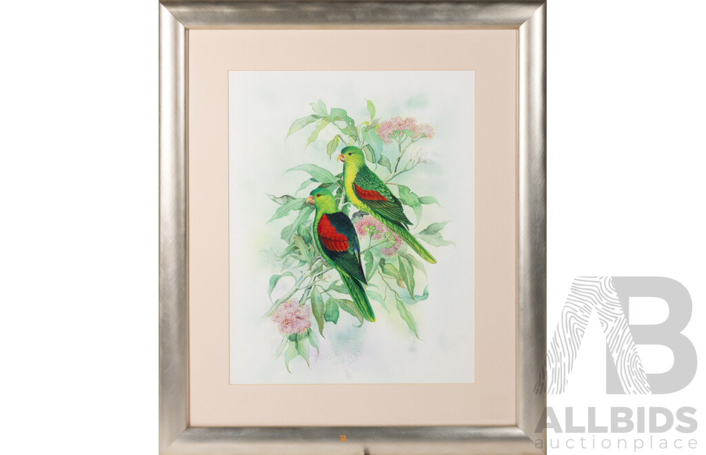 Artist Unknown, (20th Century), Western Red Winged Parrots (2003), Original Watercolour, 69 x 59 cm (frame)