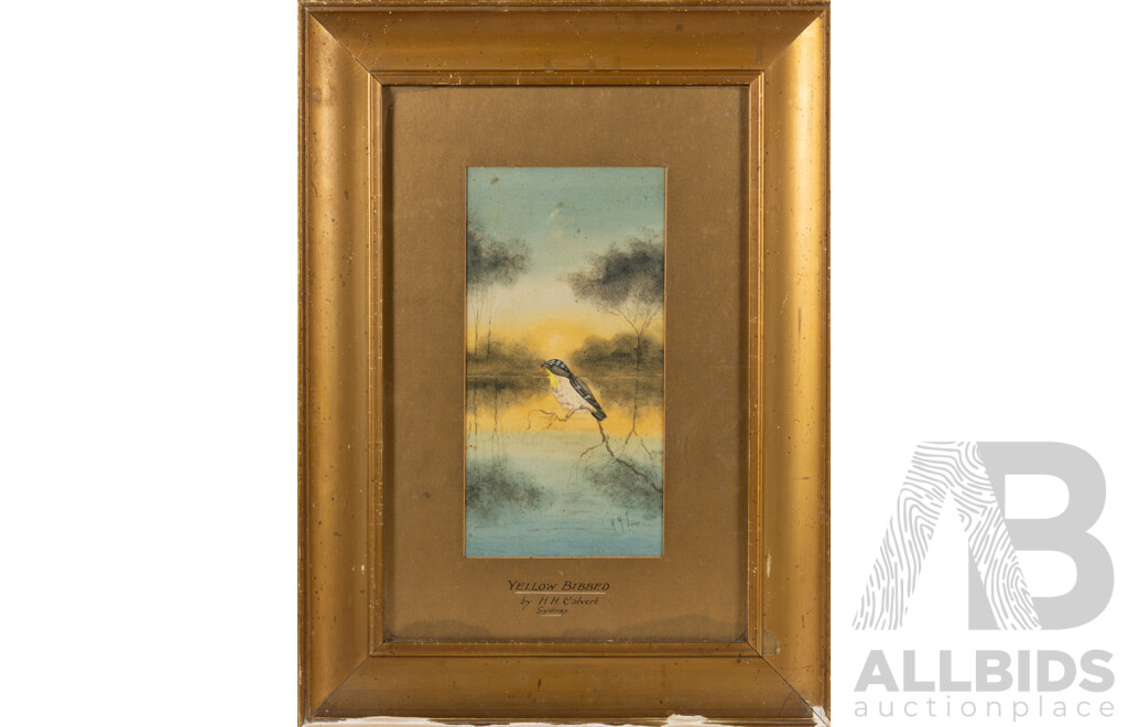 Herbert Hepburn Calvert, (1870-1923), Yellow Bibbed, Antique Watercolour, 57.5 x 42.5 cm