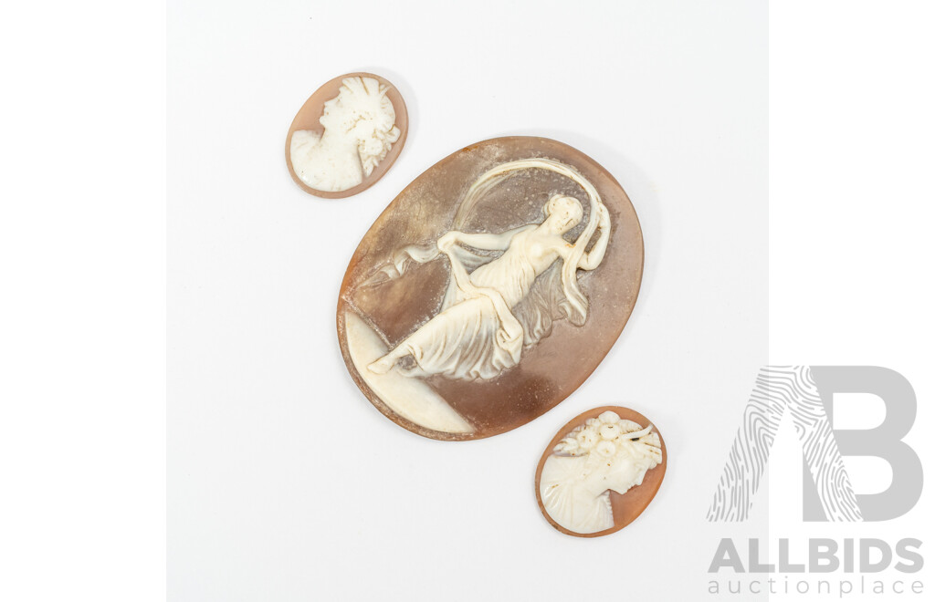 Vintage (3) Shell Cameos Unset with Beautiful Intricate Detail