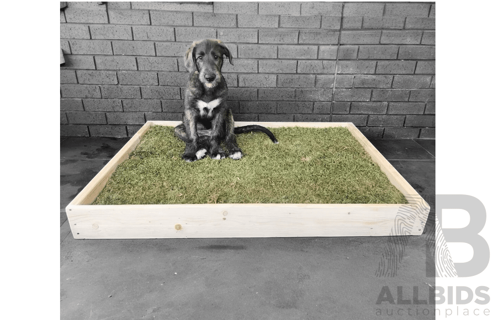 REAL GRASS Puppy Potty Base