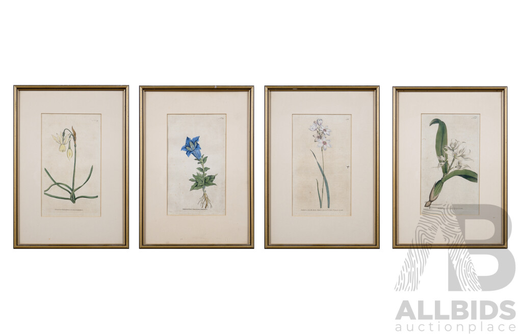 William Curtis (English,1746 - 1799), Set of Four Original 18th C Hand Coloured Book Plate Engravings on Wove Paper, All with Identifying Plate Numbers, Two Dated 1790 & 1791, 34 x 24 cm (frames) (4)