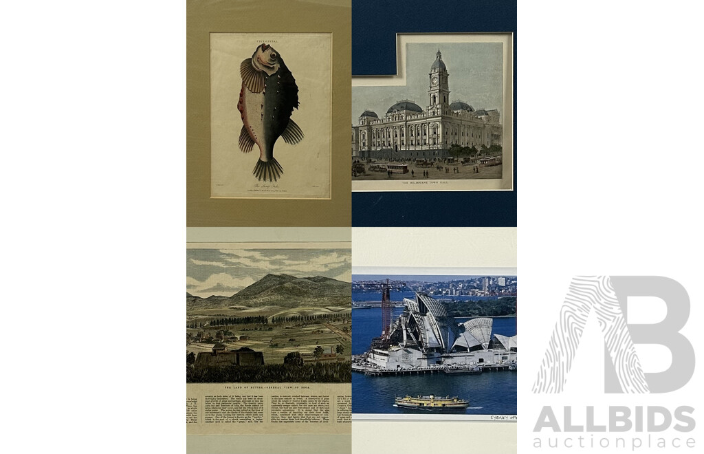 Collection of Four Unframed Prints, Including the Lump Fish, Hand Coloured Copper Plate Engraving, by H. Block, Published by J. Wilkes (1802), Sydney Opera House Under Construction (1966) and More (4)