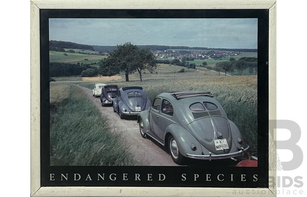 Endangered Species, Framed Vintage Colour Poster Print, 44 x 54 cm (frame)