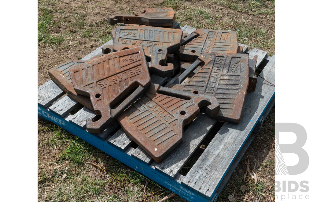 Pallet Containing Quantity of 10 Belarus 45KG Counter Weights