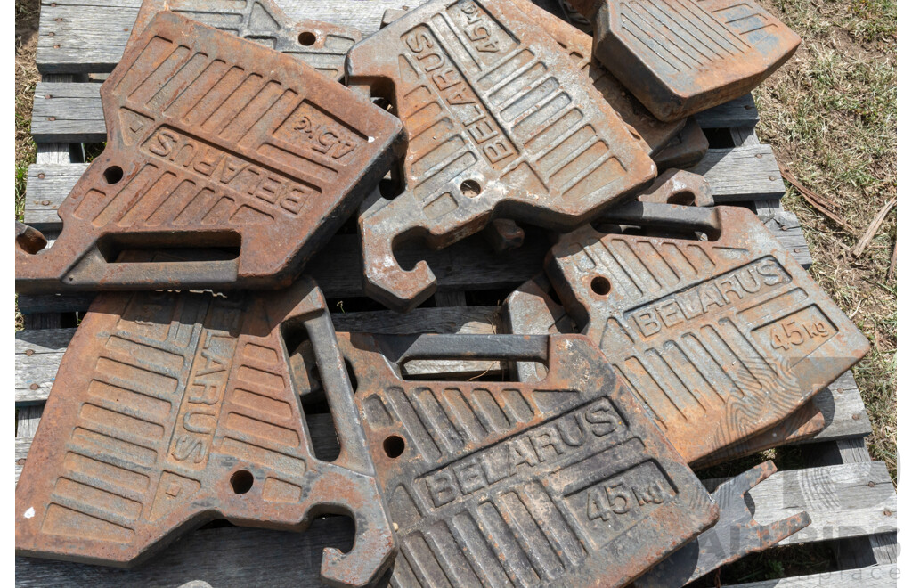 Pallet Containing Quantity of 10 Belarus 45KG Counter Weights
