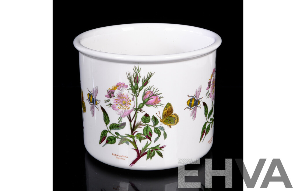 Large Portmeirion Jardiniere in Botanic Garden Series Designed by Susan Ellis Williams in Dog Rose Pattern