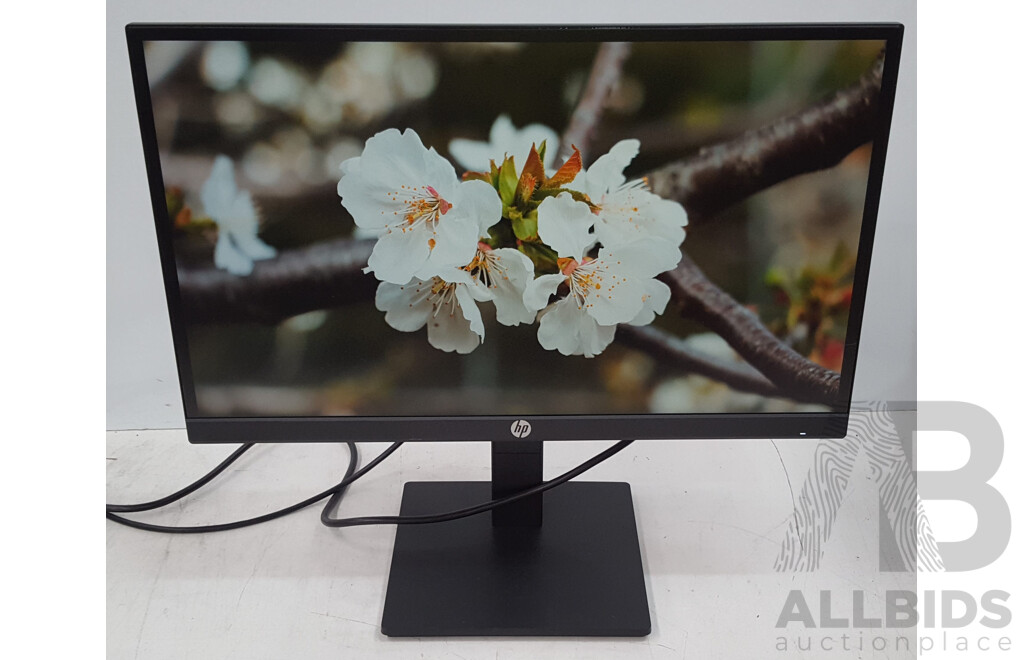 HP P22h G4 21.5-Inch Full HD (1080p) Widescreen LED-backlit LCD Monitor