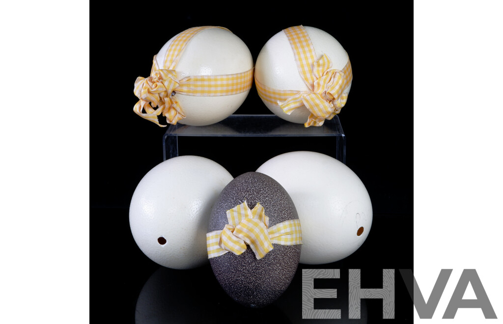 Collection Four Hollow Blown Ostrich Eggs and One Hollow Blown Emu Egg