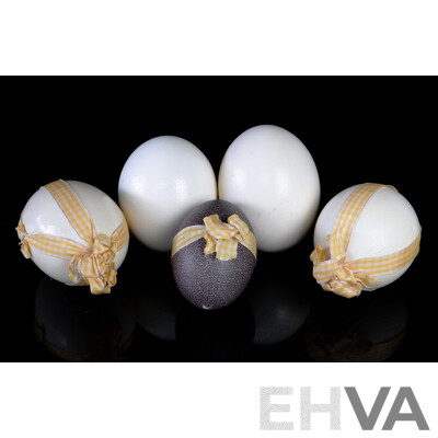 Collection Four Hollow Blown Ostrich Eggs and One Hollow Blown Emu Egg