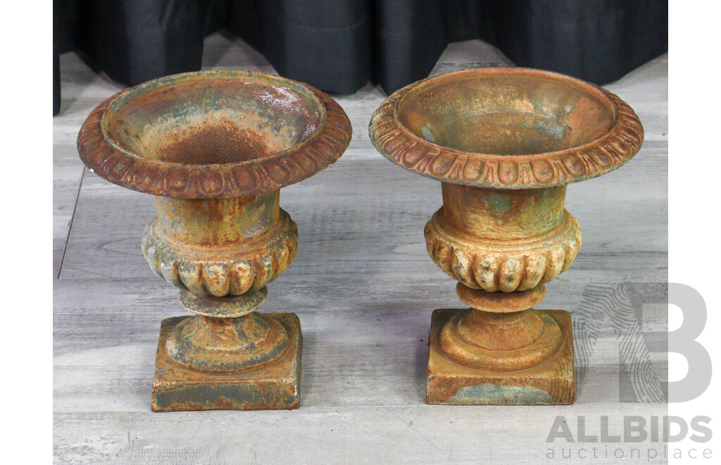 Pair of Small Cast Iron Garden Urns