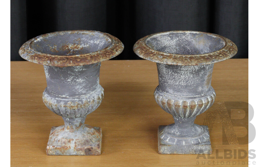 Pair of Small Cast Iron Garden Urns