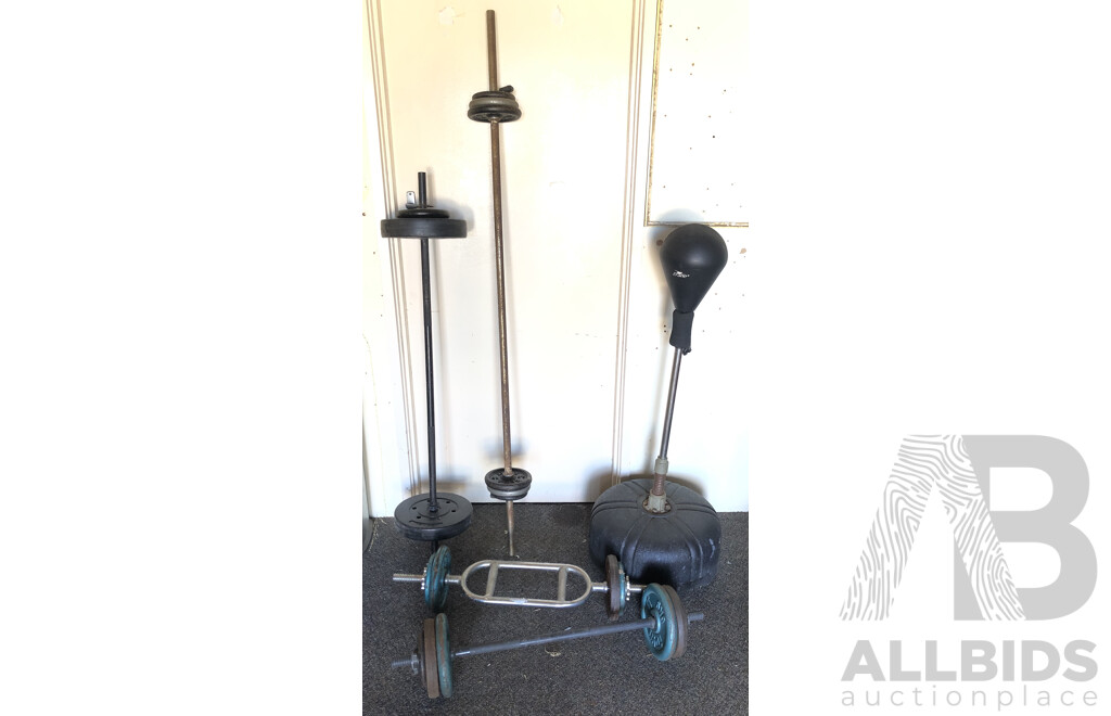 Weightlifting and Boxing Equipment - Lot of Five