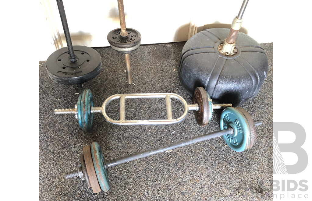 Weightlifting and Boxing Equipment - Lot of Five