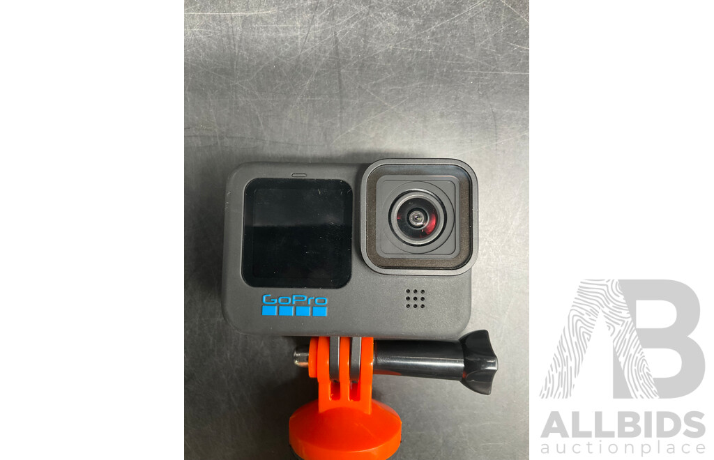GoPro 10 Black with Hand Grip Handle