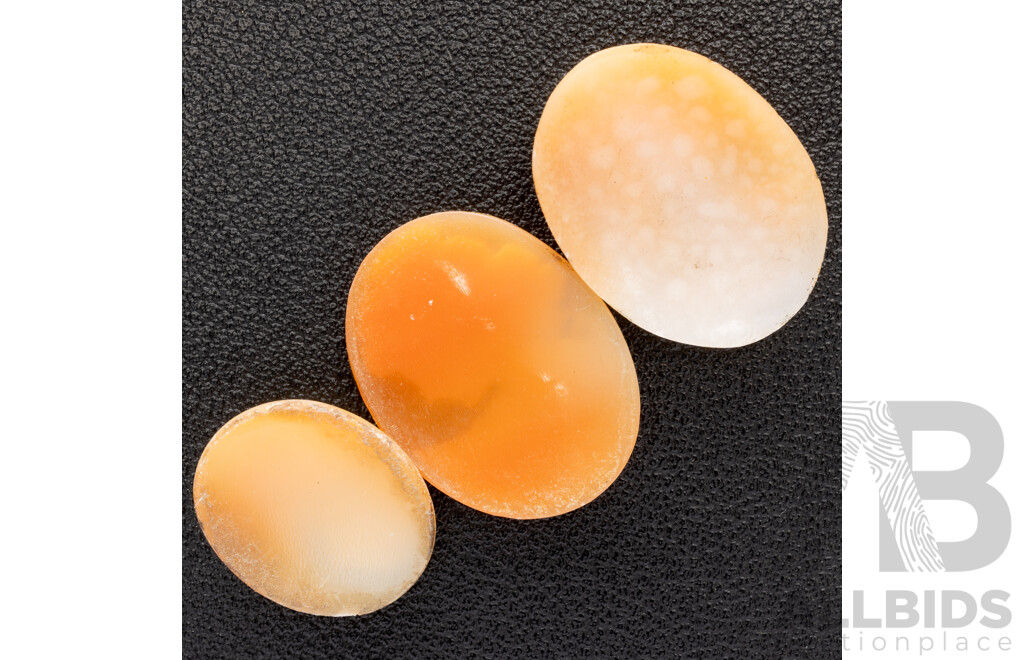 Natural Shell Cameos (3) Unset 18/25/26mm