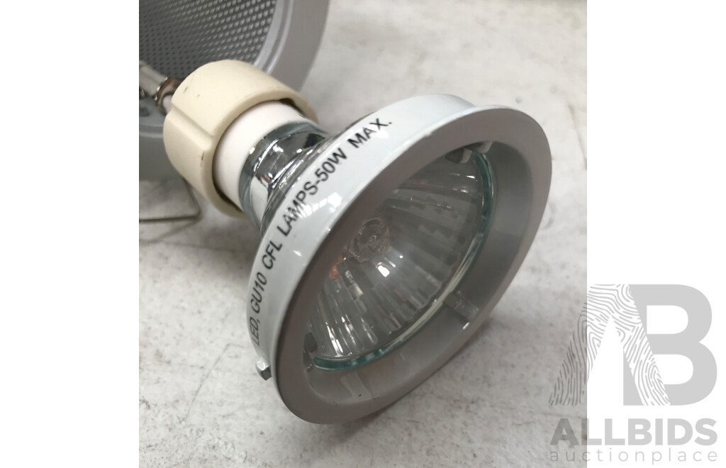 Lucci Light Flush, Lampholder Assembly, Halogen Down Light, and Nelson Cut Out Light with Mesh Covers