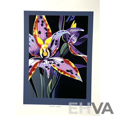 Set of Three Artworks - Watercolour by P. Bright; Ltd Ed Australian Orchid Screenprint & 1972 Howard Bernstein 856 Headwaters Vintage Blacklight Headshop Poster, (3)