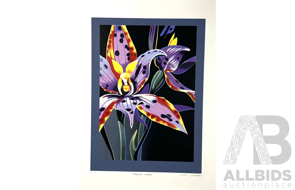 Set of Three Artworks - Watercolour by P. Bright; Ltd Ed Australian Orchid Screenprint & 1972 Howard Bernstein 856 Headwaters Vintage Blacklight Headshop Poster, (3)