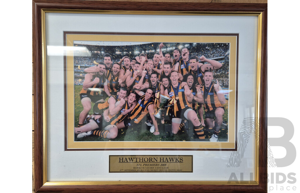 L108 - Hawthorn Hawks ALF Premiers 2008 framed photo