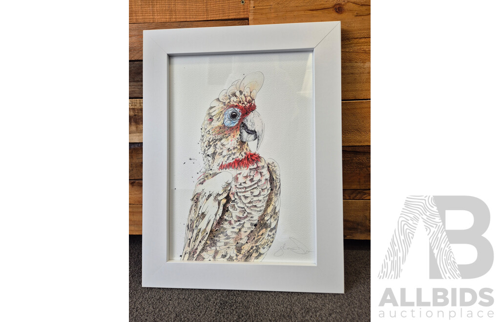 L117 - Shannon Dwyer Bluey long-billed corella A3 framed print