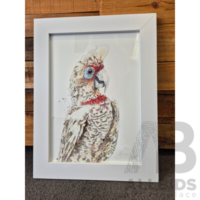 L117 - Shannon Dwyer Bluey long-billed corella A3 framed print