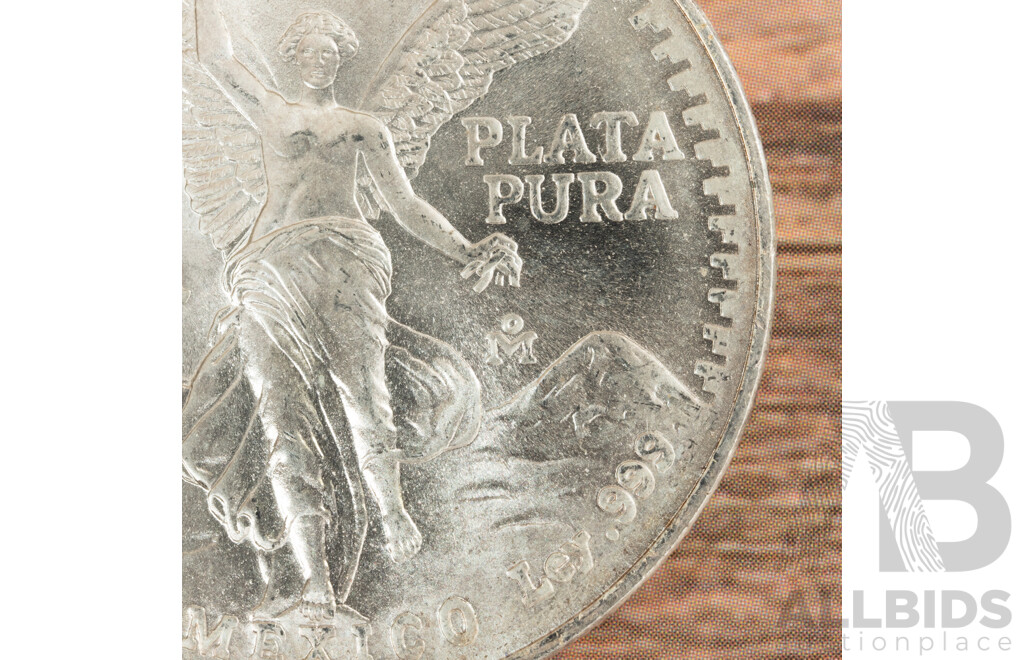 Mexico 1991 Silver One Onza Coin .999