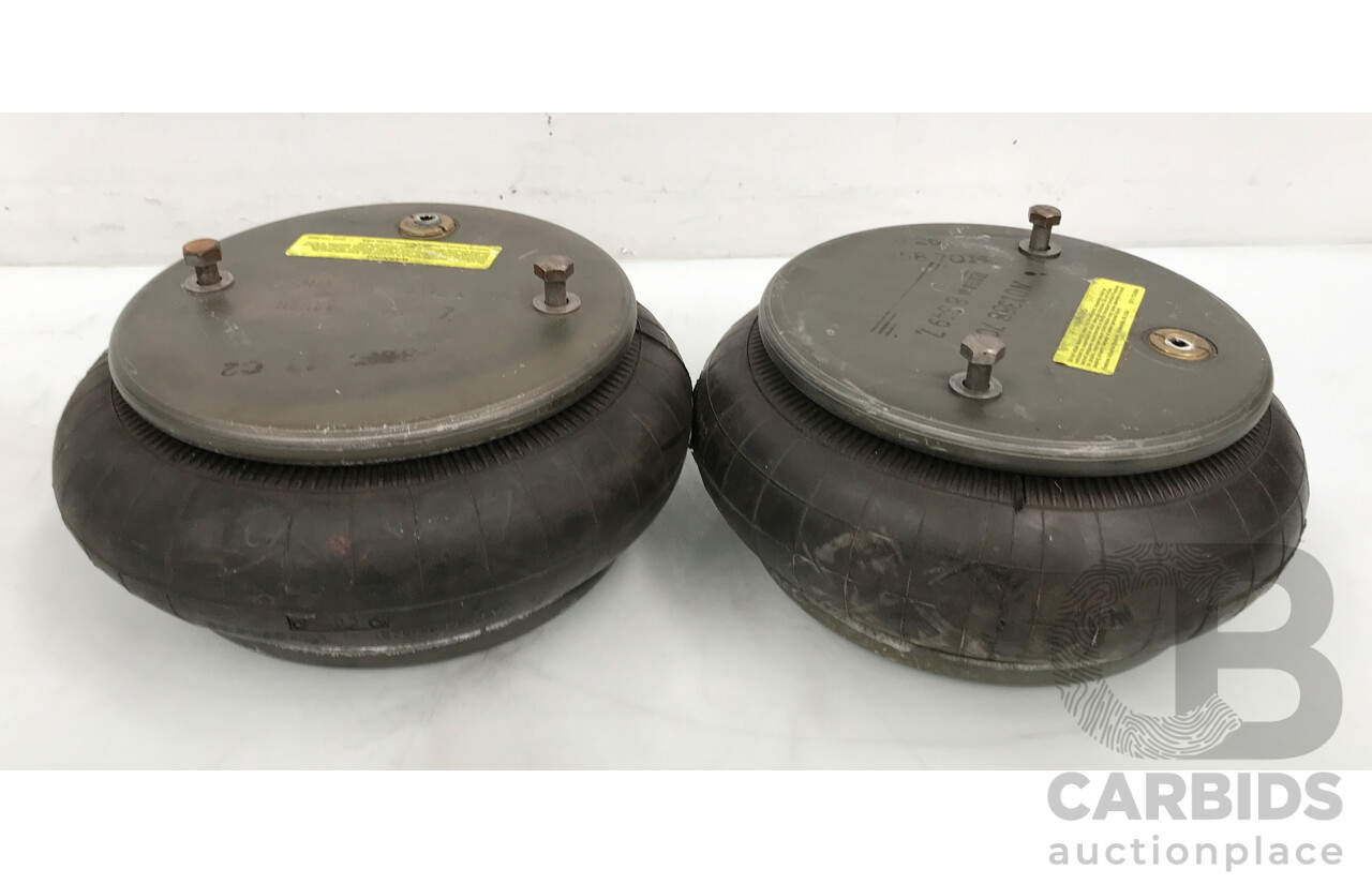 Pair of Air Springs with Metal Plates