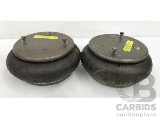 Pair of Air Springs with Metal Plates