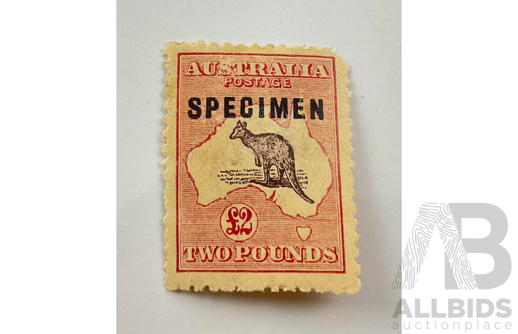 Australian 1915 Two Pound Kangaroo on Map Specimen Stamp, Third Water Mark