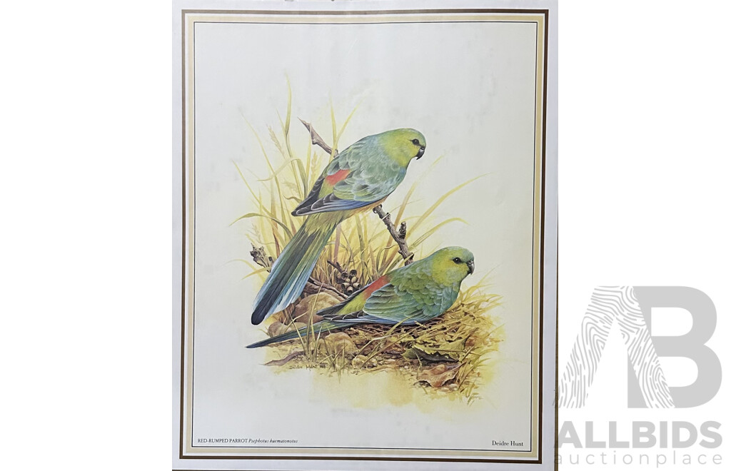 Deidre Lynette Hunt, (20th Century, Australian, 1939-), WIllie Wagtail, Welcome Swallow & More, Collection of Framed and Unframed Colour Prints of Original Watercolours, 32 x 26 cm (frames) (4) and 30 x 25 cm (unframed) (6)