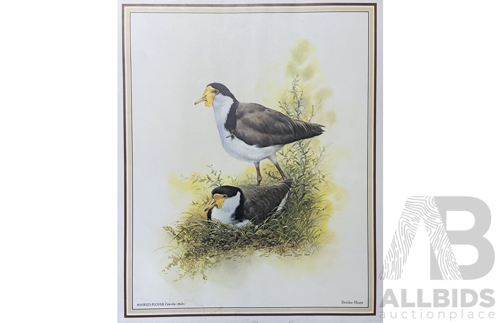 Deidre Lynette Hunt, (20th Century, Australian, 1939-), WIllie Wagtail, Welcome Swallow & More, Collection of Framed and Unframed Colour Prints of Original Watercolours, 32 x 26 cm (frames) (4) and 30 x 25 cm (unframed) (6)