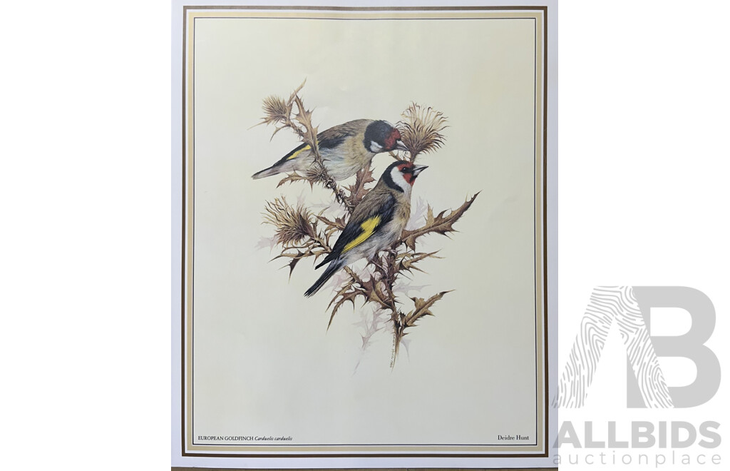 Deidre Lynette Hunt, (20th Century, Australian, 1939-), WIllie Wagtail, Welcome Swallow & More, Collection of Framed and Unframed Colour Prints of Original Watercolours, 32 x 26 cm (frames) (4) and 30 x 25 cm (unframed) (6)