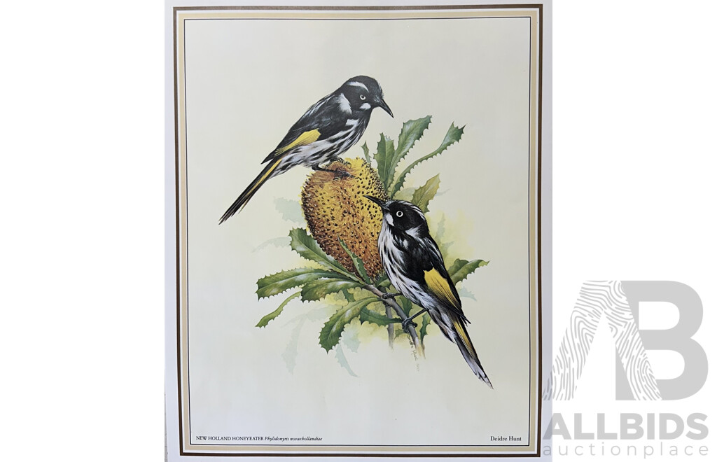 Deidre Lynette Hunt, (20th Century, Australian, 1939-), WIllie Wagtail, Welcome Swallow & More, Collection of Framed and Unframed Colour Prints of Original Watercolours, 32 x 26 cm (frames) (4) and 30 x 25 cm (unframed) (6)