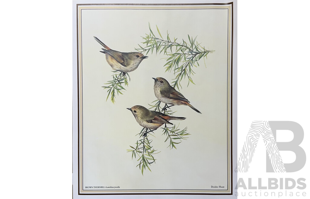 Deidre Lynette Hunt, (20th Century, Australian, 1939-), WIllie Wagtail, Welcome Swallow & More, Collection of Framed and Unframed Colour Prints of Original Watercolours, 32 x 26 cm (frames) (4) and 30 x 25 cm (unframed) (6)