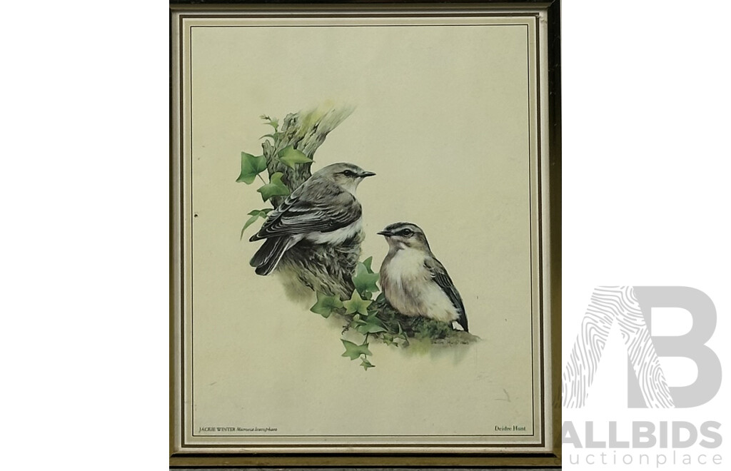 Deidre Lynette Hunt, (20th Century, Australian, 1939-), WIllie Wagtail, Welcome Swallow & More, Collection of Framed and Unframed Colour Prints of Original Watercolours, 32 x 26 cm (frames) (4) and 30 x 25 cm (unframed) (6)