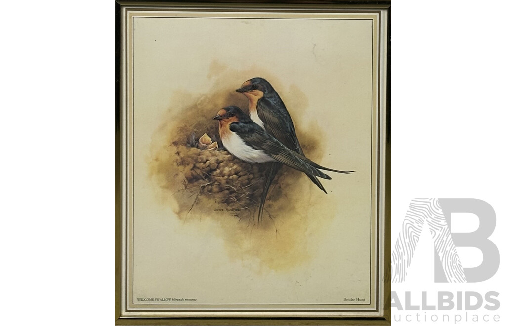 Deidre Lynette Hunt, (20th Century, Australian, 1939-), WIllie Wagtail, Welcome Swallow & More, Collection of Framed and Unframed Colour Prints of Original Watercolours, 32 x 26 cm (frames) (4) and 30 x 25 cm (unframed) (6)
