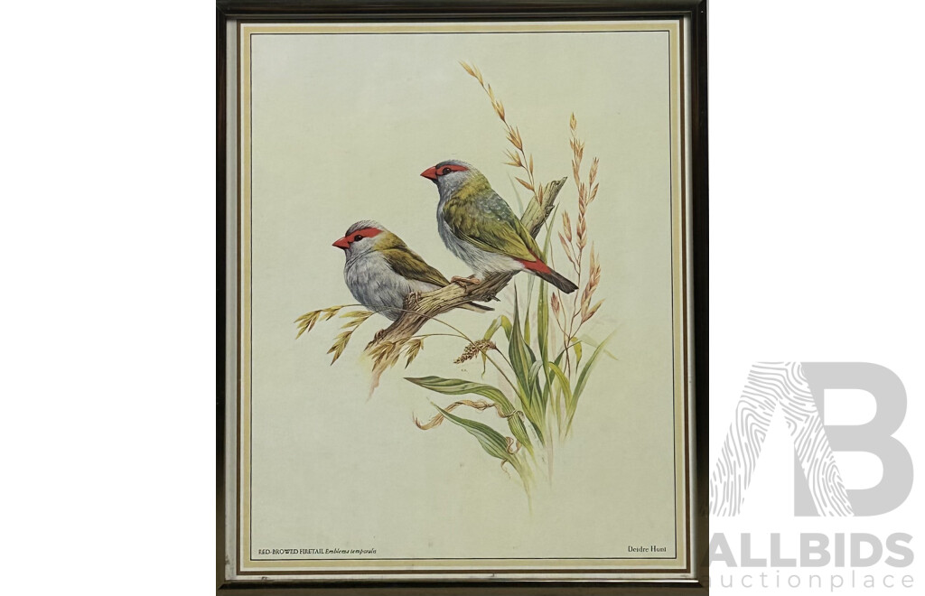 Deidre Lynette Hunt, (20th Century, Australian, 1939-), WIllie Wagtail, Welcome Swallow & More, Collection of Framed and Unframed Colour Prints of Original Watercolours, 32 x 26 cm (frames) (4) and 30 x 25 cm (unframed) (6)