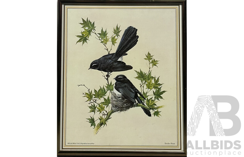 Deidre Lynette Hunt, (20th Century, Australian, 1939-), WIllie Wagtail, Welcome Swallow & More, Collection of Framed and Unframed Colour Prints of Original Watercolours, 32 x 26 cm (frames) (4) and 30 x 25 cm (unframed) (6)