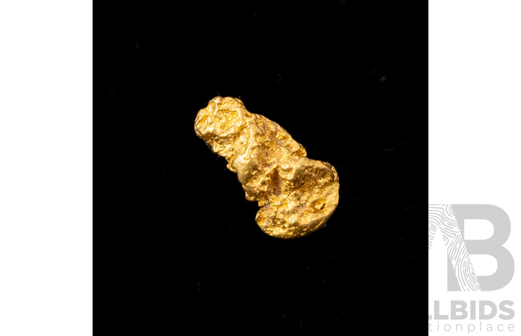 22+ct Natural Gold Nugget, 0.30 Grams - Perfect for a Jewellery Design