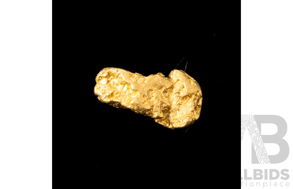 22+ct Natural Gold Nugget, 0.30 Grams - Perfect for a Jewellery Design
