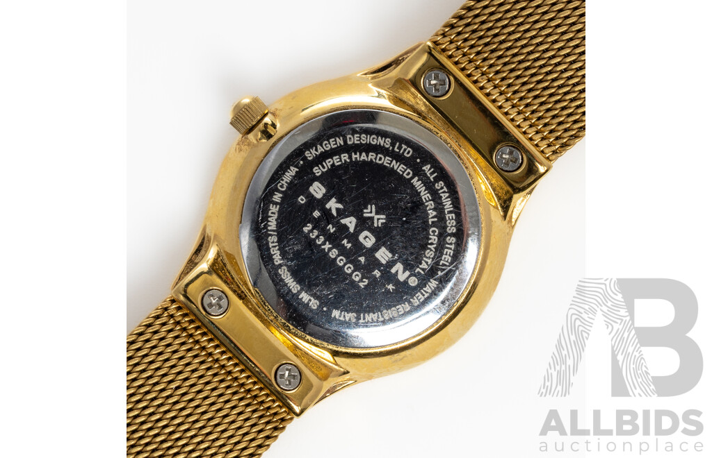 Skagen Denmark Gold Tone Ladies Watch with Swarovski Accents & Mesh Band, 233XSGGG2