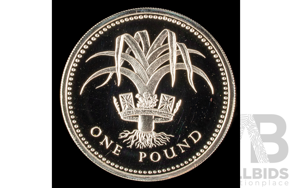 United Kingdom Royal Mint 1985 Silver Proof Piedfort One Pound Coin, Welsh Leek .925