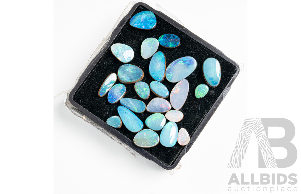 Opal Doublets (23) in Various Shapes and Sizes