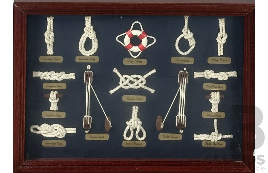 Collection of Fifteen Nautical Knots Displayed in Glass Case, 30 x 40 cm (frame)
