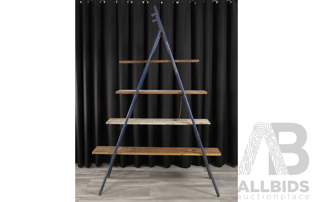 Bespoke Painters Ladder Shelving Unit