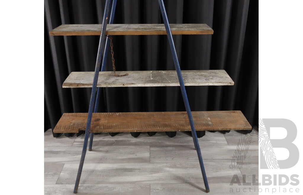 Bespoke Painters Ladder Shelving Unit