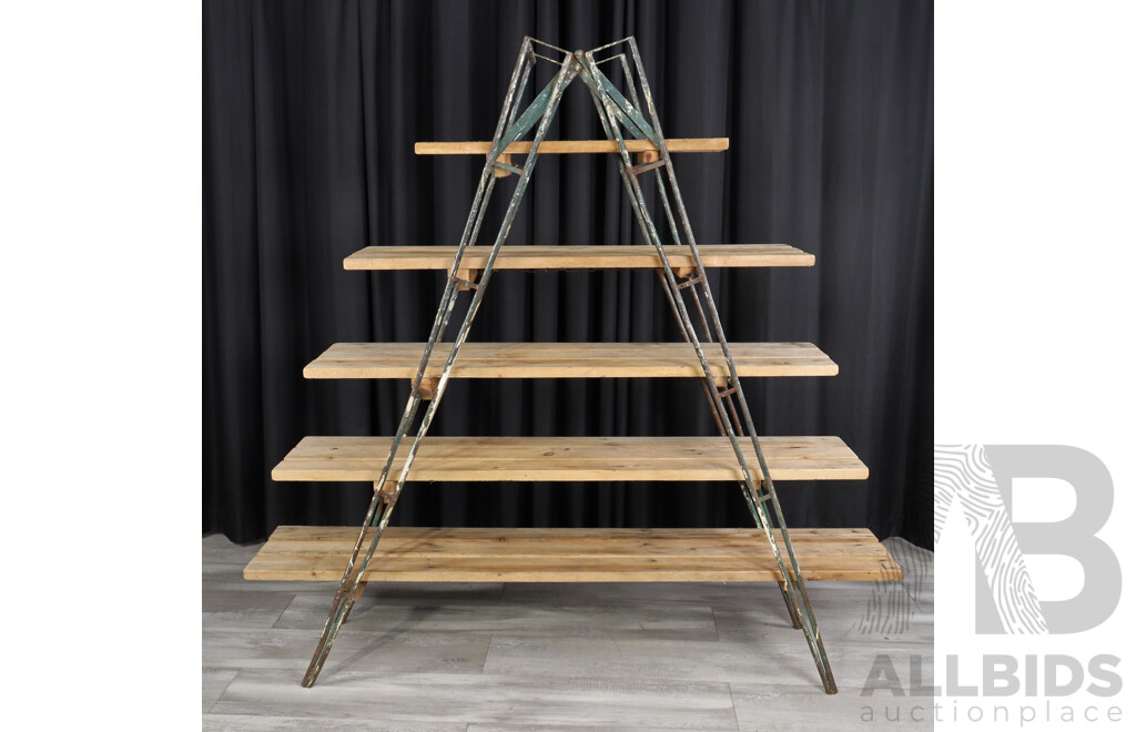Bespoke Vintage Metal Ladder Shelving System